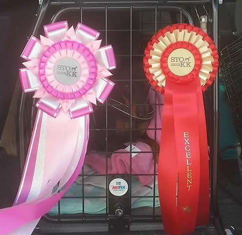 Eleganza